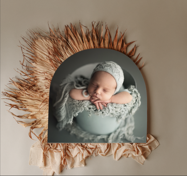 Organic Shape Photoblock