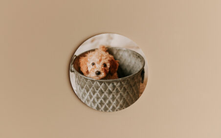 50cm (20inch) Round Photoblock